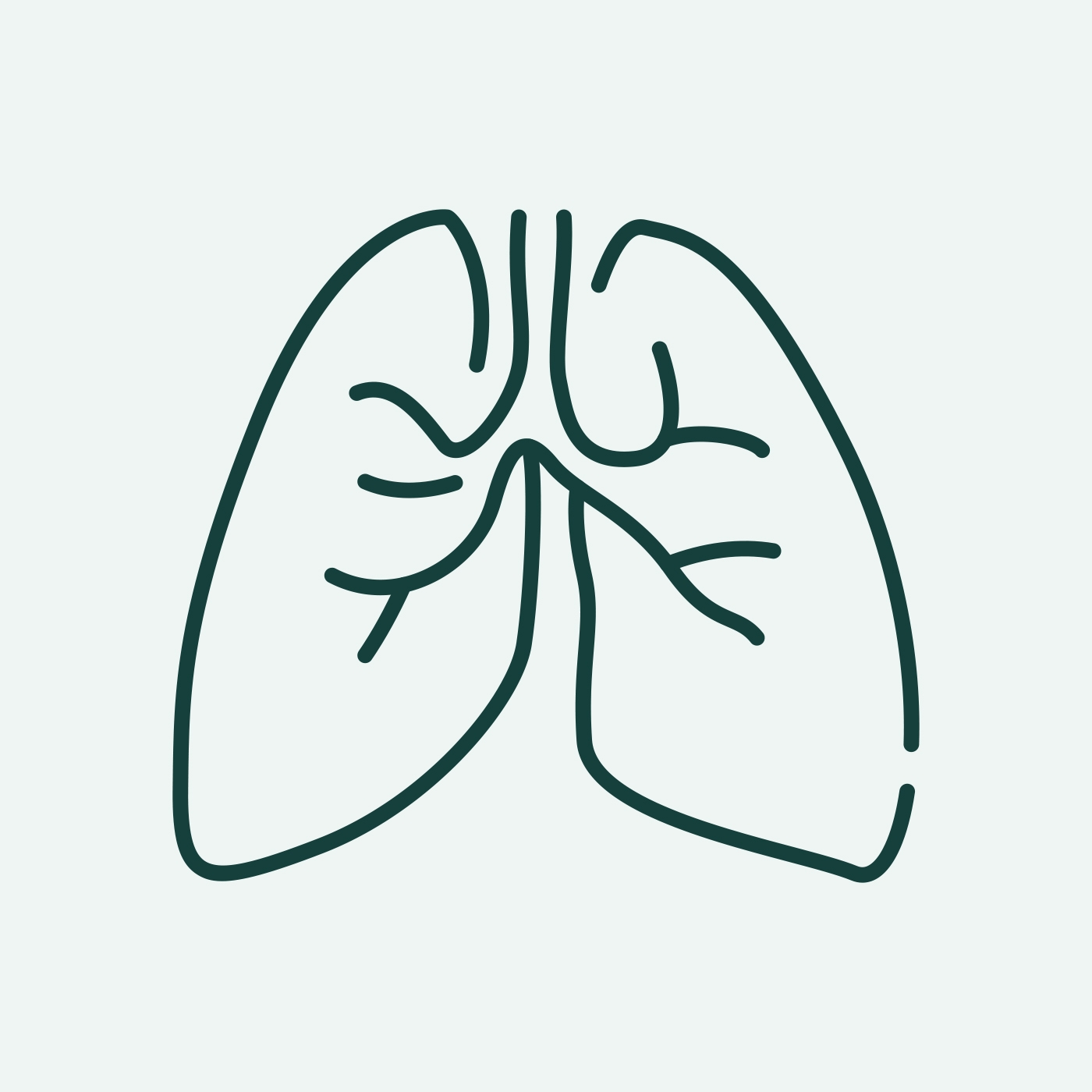 Immunsystem, Lunge