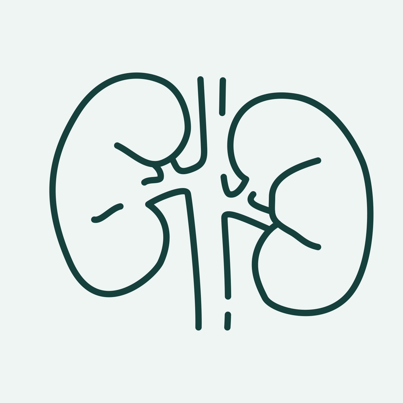 Blase, Niere, Prostata