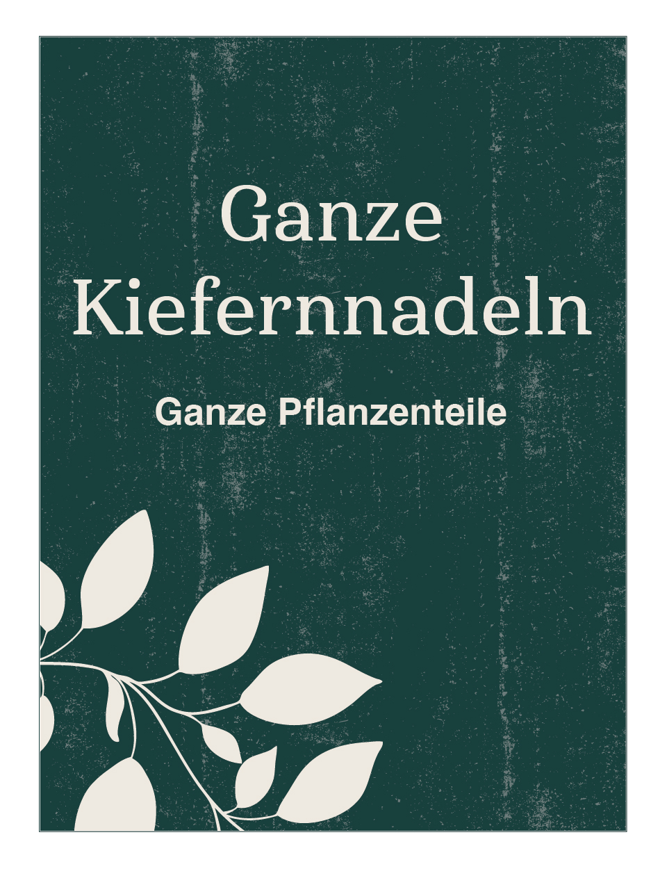 Ganze Kiefernnadeln